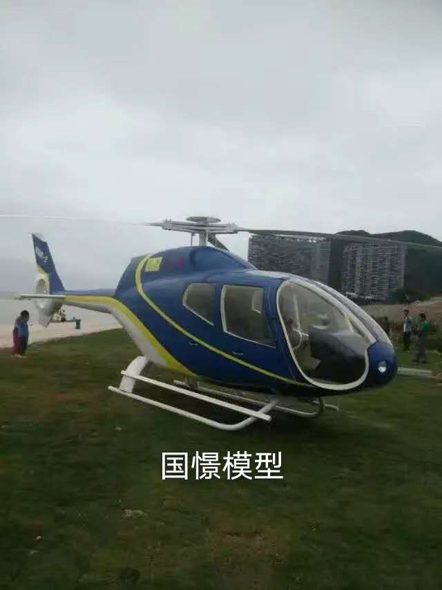 会昌县飞机模型